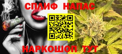 индика Краснознаменск