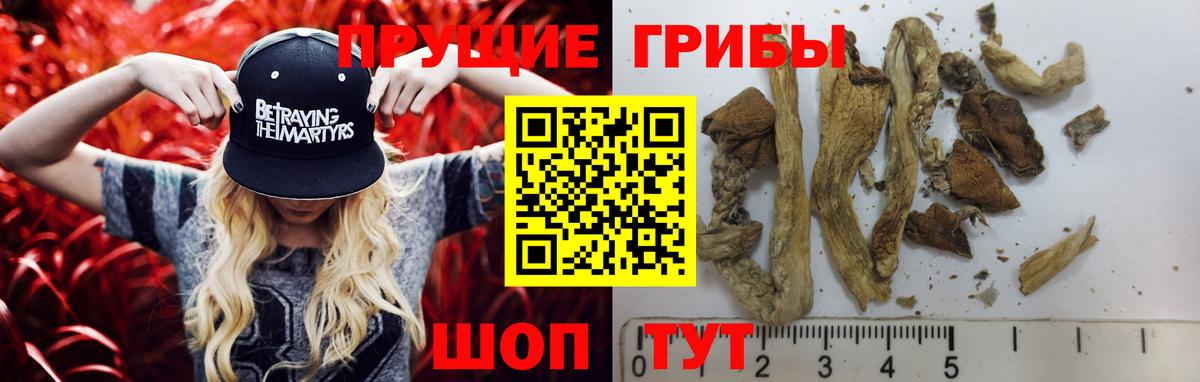 Псилоцибиновые грибы мицелий  Галлюциногенные грибы мицелий  купить закладку  Кемерово  Вход с VPN 